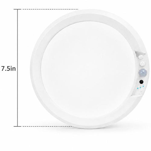 Wireless Motion Sensor Ceiling Light